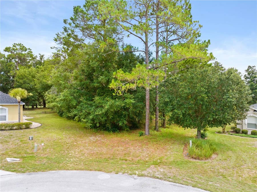 Property photo for 17 WOODLEE COURT S, Homosassa, FL