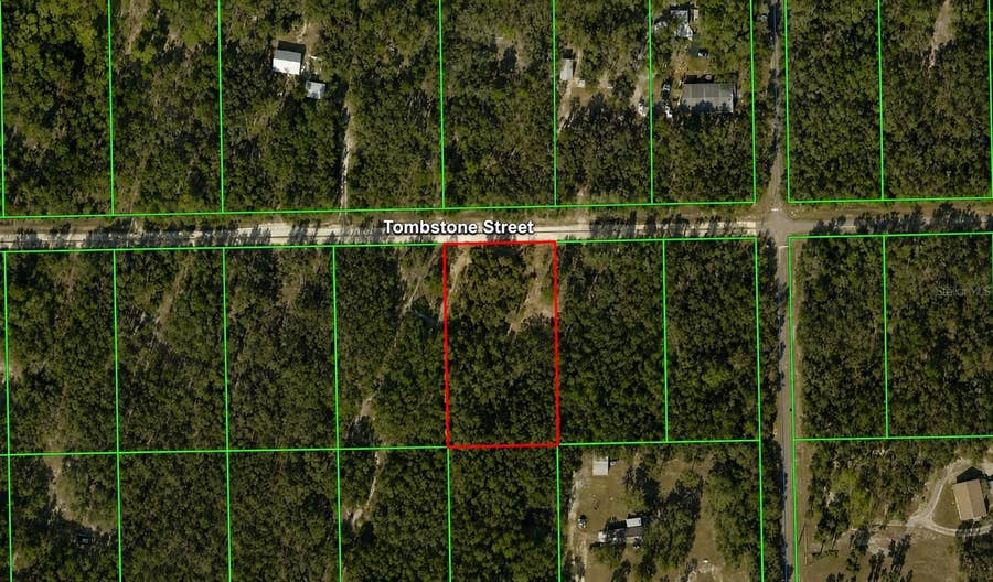 Property photo for 33240 TOMBSTONE STREET, Webster, FL
