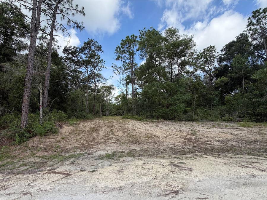 Property photo for 0 IDLEWOOD DRIVE, Webster, FL