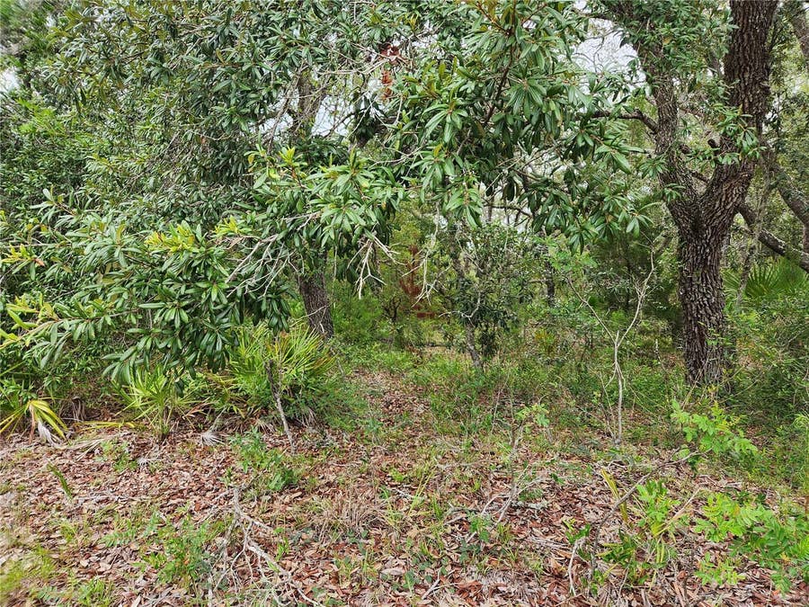 Property photo for 18364 PARAKEET ROAD, Lot #25, Brooksville, FL