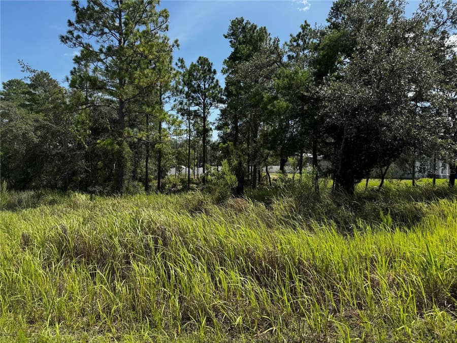 Property photo for Lot 14 BARNEVELDE ROAD, Weeki Wachee, FL