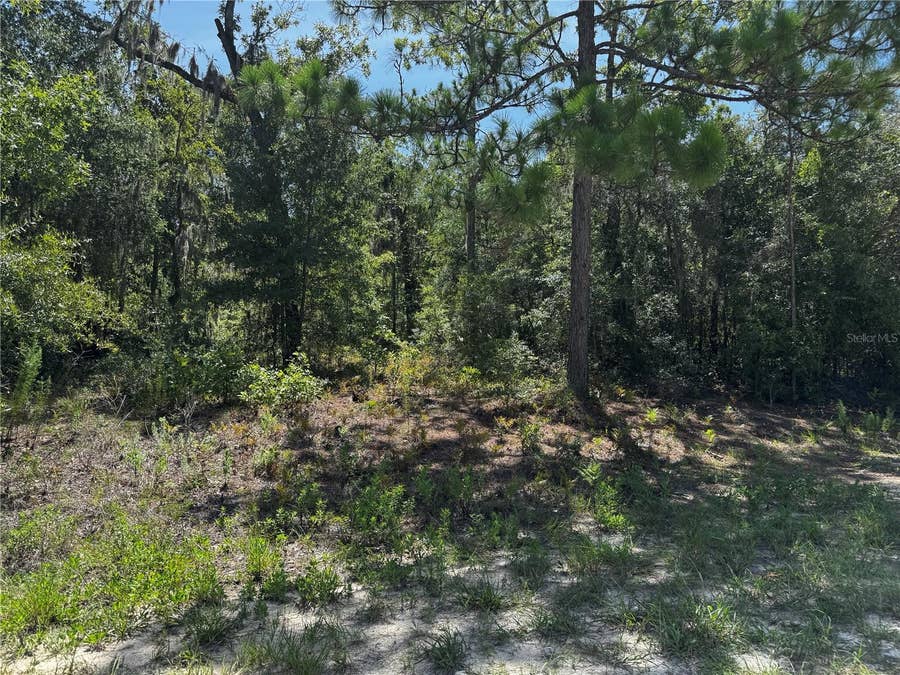 Property photo for CRIDER ROAD, #3, Weeki Wachee, FL