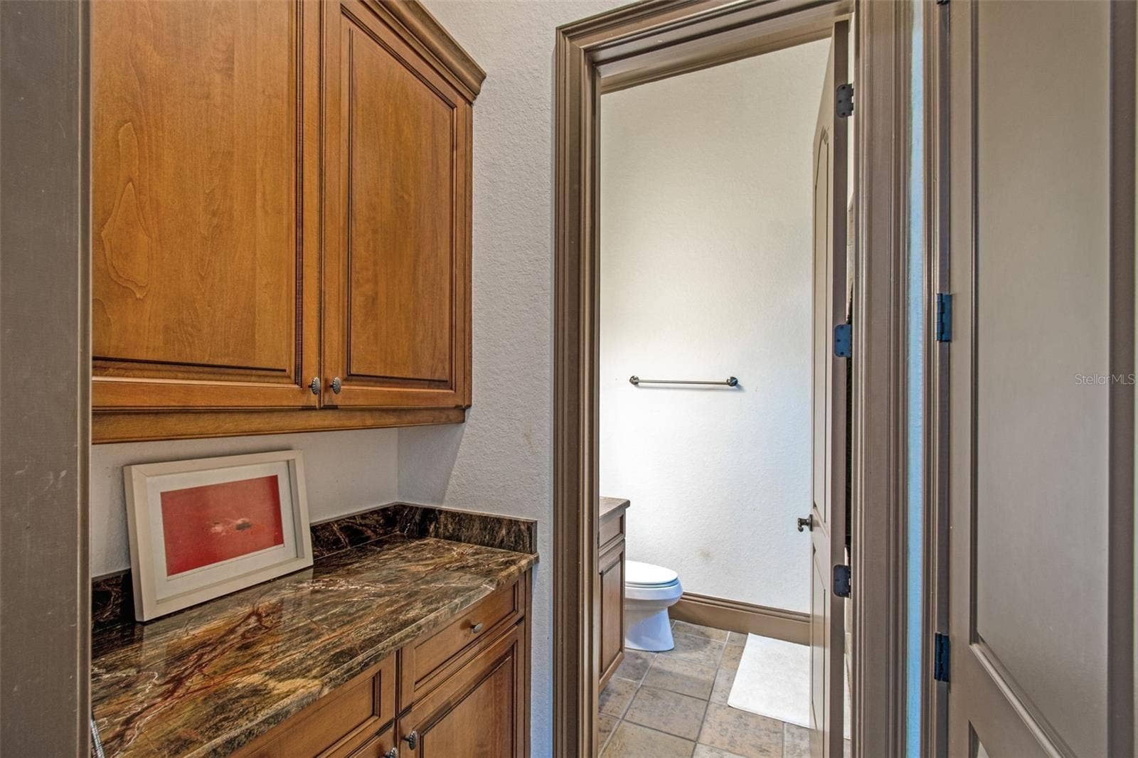 13250 BELLARIA CIRCLE, Windermere, FL 34786 13250 BELLARIA CIRCLE, Windermere, FL 34786