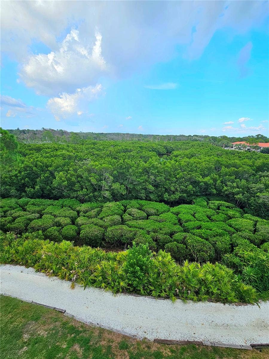 243 MARINER DRIVE, #243, Tarpon Springs, FL 34689 View of Bird Sanctuary and Nature Preserve