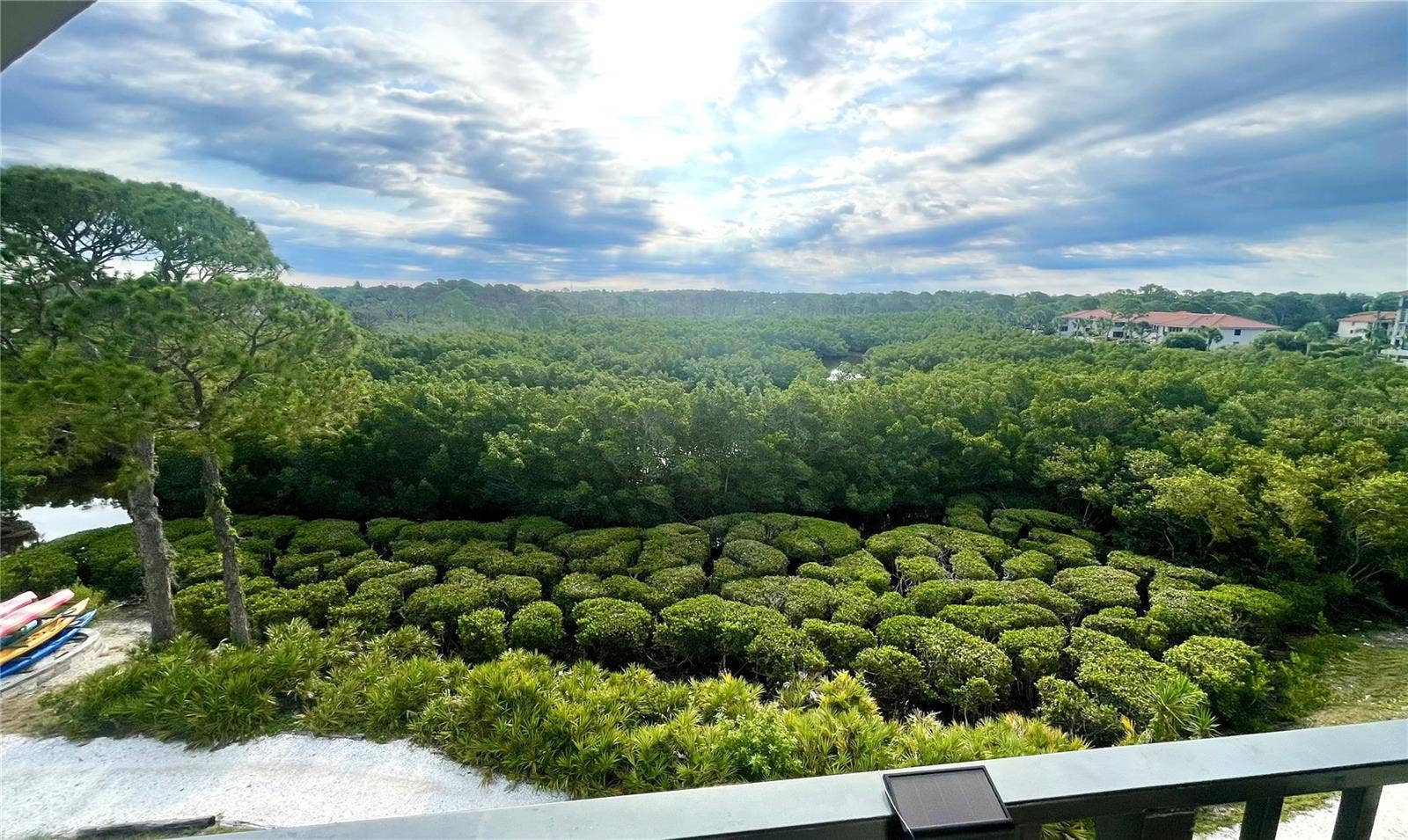 243 MARINER DRIVE, #243, Tarpon Springs, FL 34689 View of Nature Preserve from Balcony