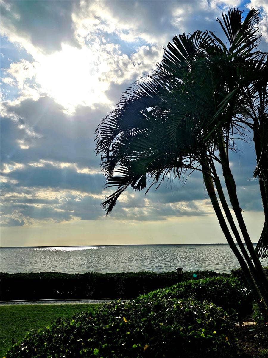 243 MARINER DRIVE, #243, Tarpon Springs, FL 34689 The Views are even Amazing on a Cloudy Day