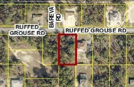13364 RUFFED GROUSE ROAD, Weeki Wachee, FL 34614 13364 RUFFED GROUSE ROAD, Weeki Wachee, FL 34614