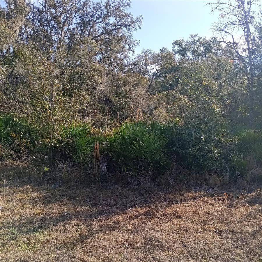 Property photo for 8110 TREIMAN BOULEVARD, Webster, FL