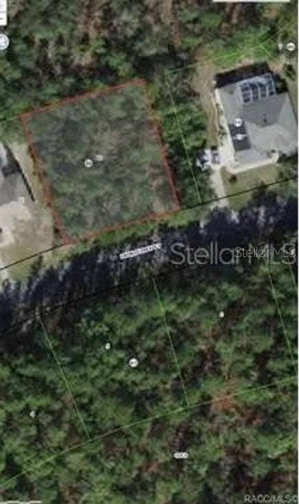 Property photo for 38 FRINGETREE STREET, Homosassa, FL