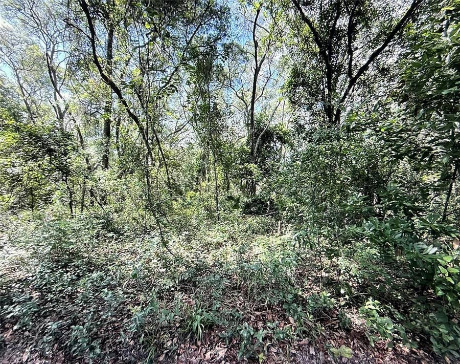 Property photo for SW 150TH STREET, Dunnellon, FL