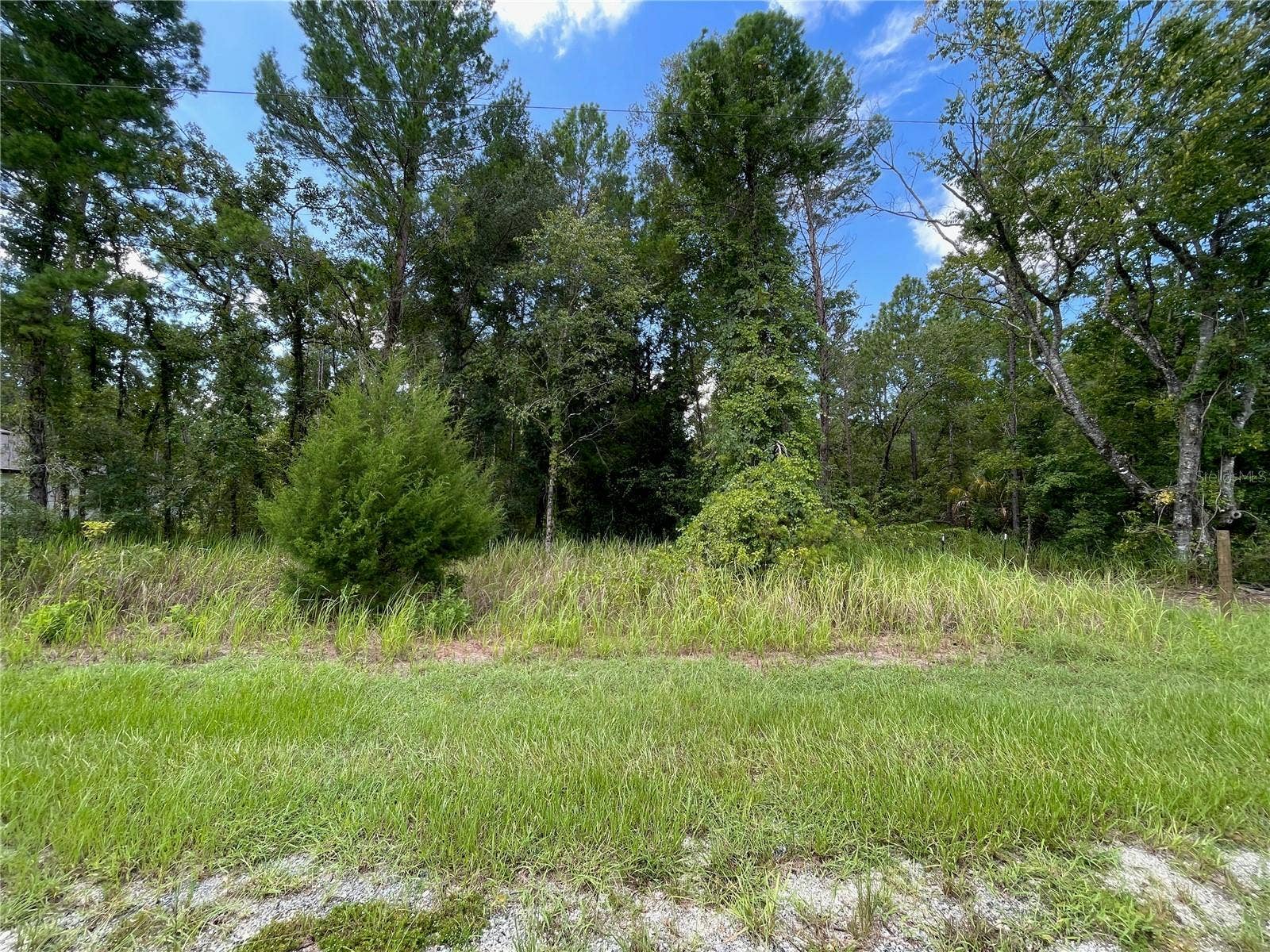0 THRASHER AVENUE, Weeki Wachee, FL 34614 0 THRASHER AVENUE, Weeki Wachee, FL 34614