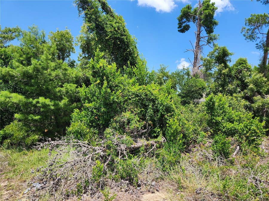 Property photo for 6241 MARINER BOULEVARD, #Lot 31, Spring Hill, FL