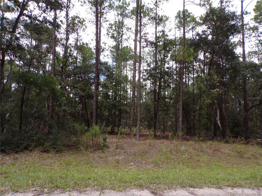 Property photo for 601 E MARQUETTE LANE, Citrus Springs, FL