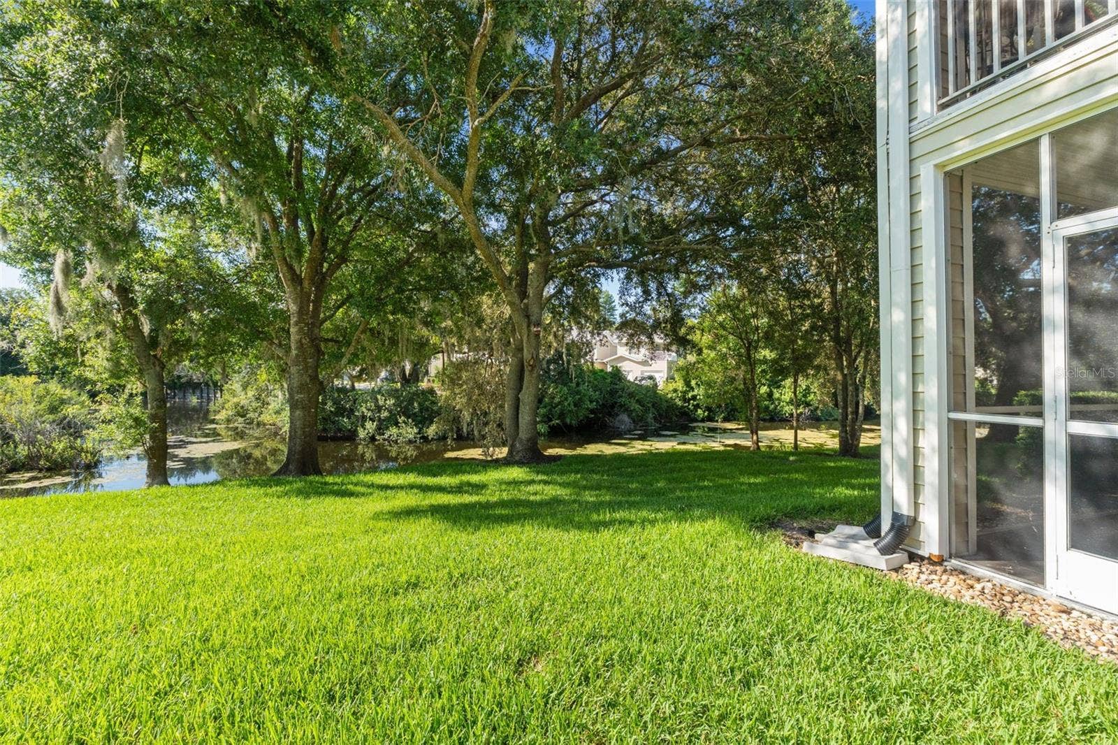 1920 HAMMOCKS AVENUE, #1002, Lutz, FL 33549