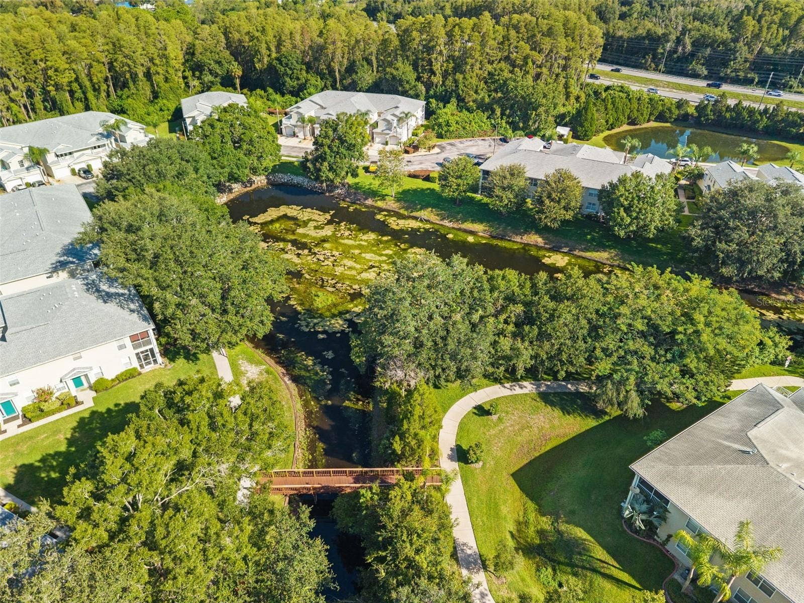 1920 HAMMOCKS AVENUE, #1002, Lutz, FL 33549