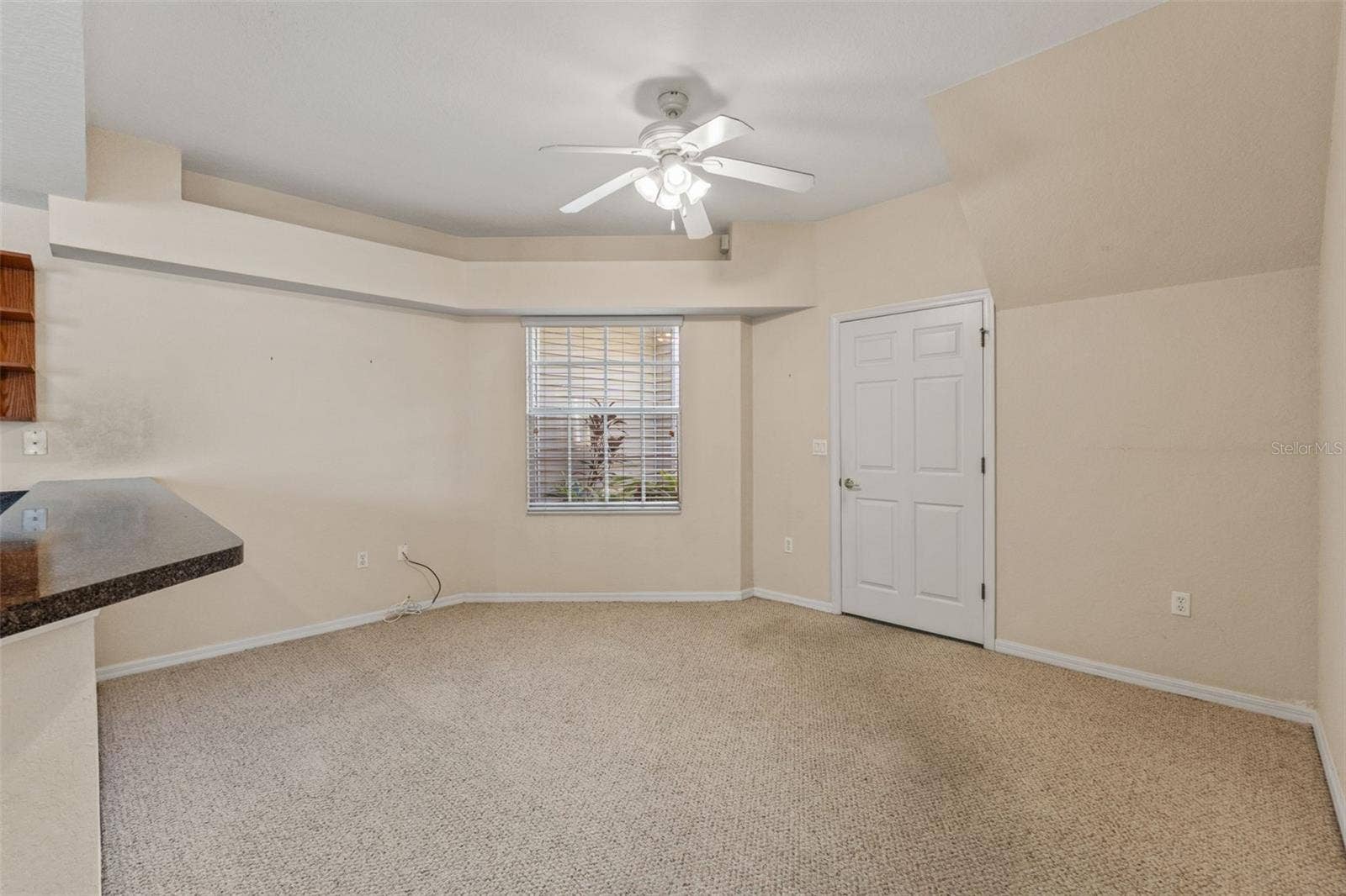 1920 HAMMOCKS AVENUE, #1002, Lutz, FL 33549