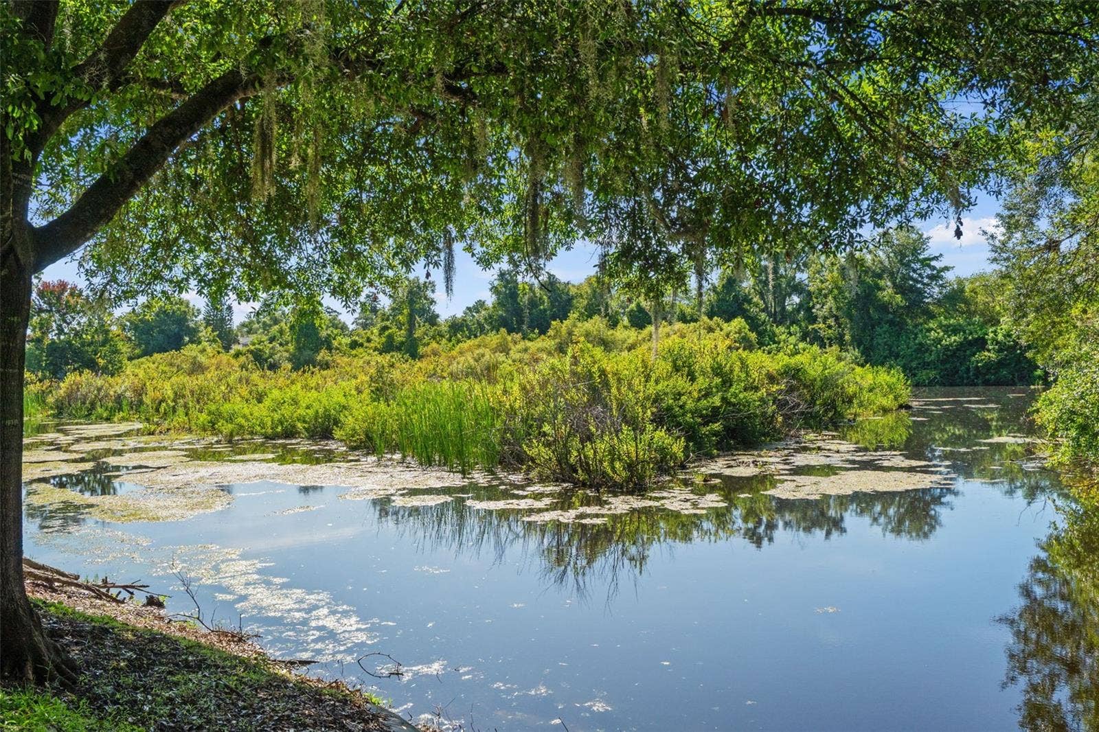 1920 HAMMOCKS AVENUE, #1002, Lutz, FL 33549