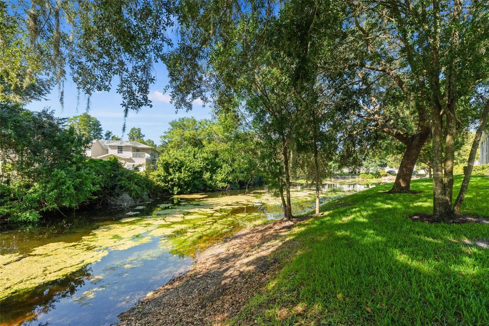 1920 HAMMOCKS AVENUE, #1002, Lutz, FL 33549