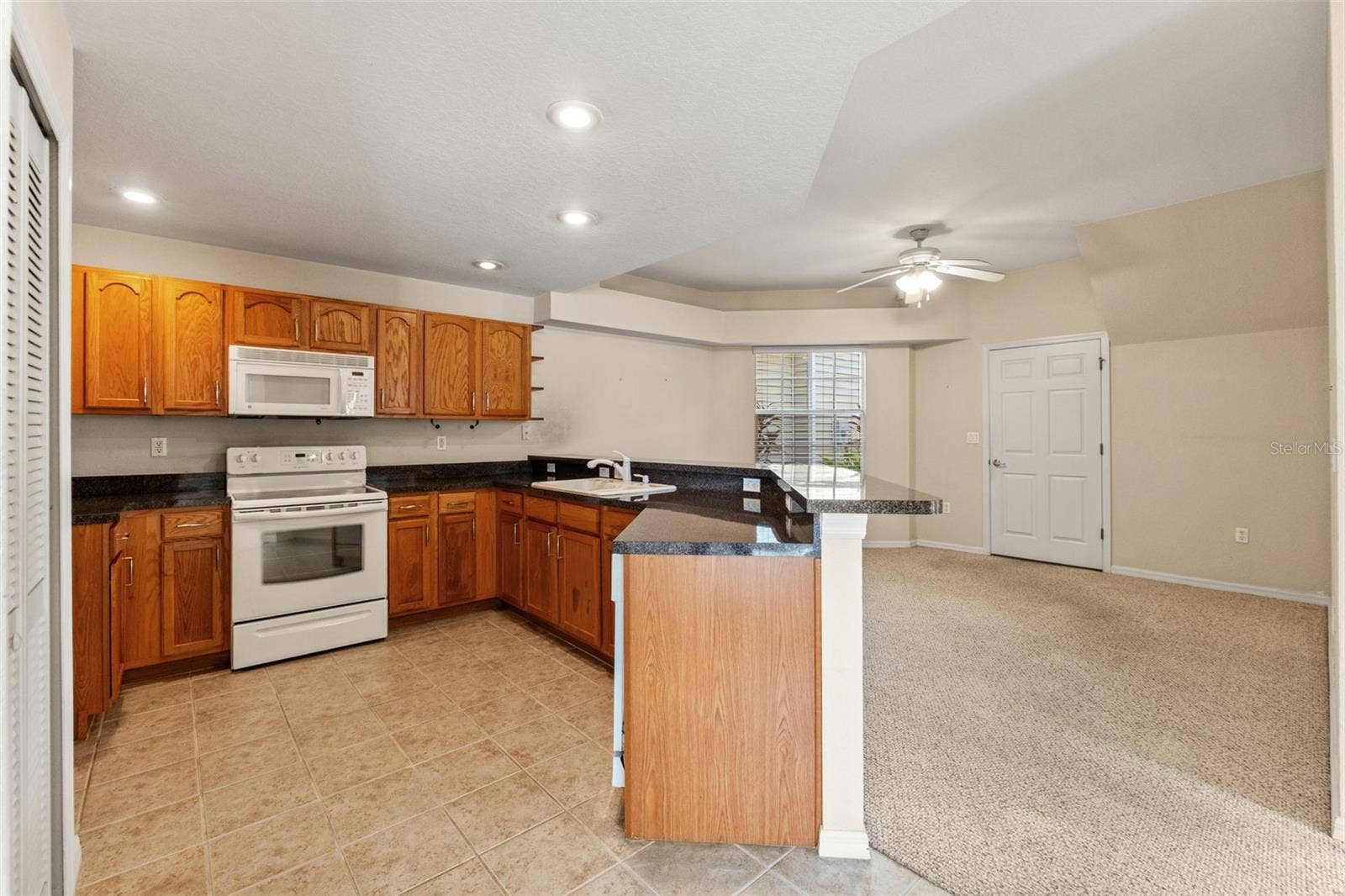 1920 HAMMOCKS AVENUE, #1002, Lutz, FL 33549
