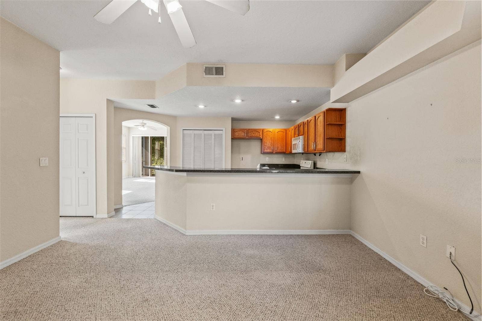 1920 HAMMOCKS AVENUE, #1002, Lutz, FL 33549