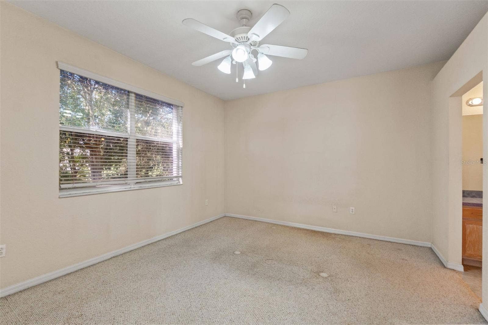 1920 HAMMOCKS AVENUE, #1002, Lutz, FL 33549