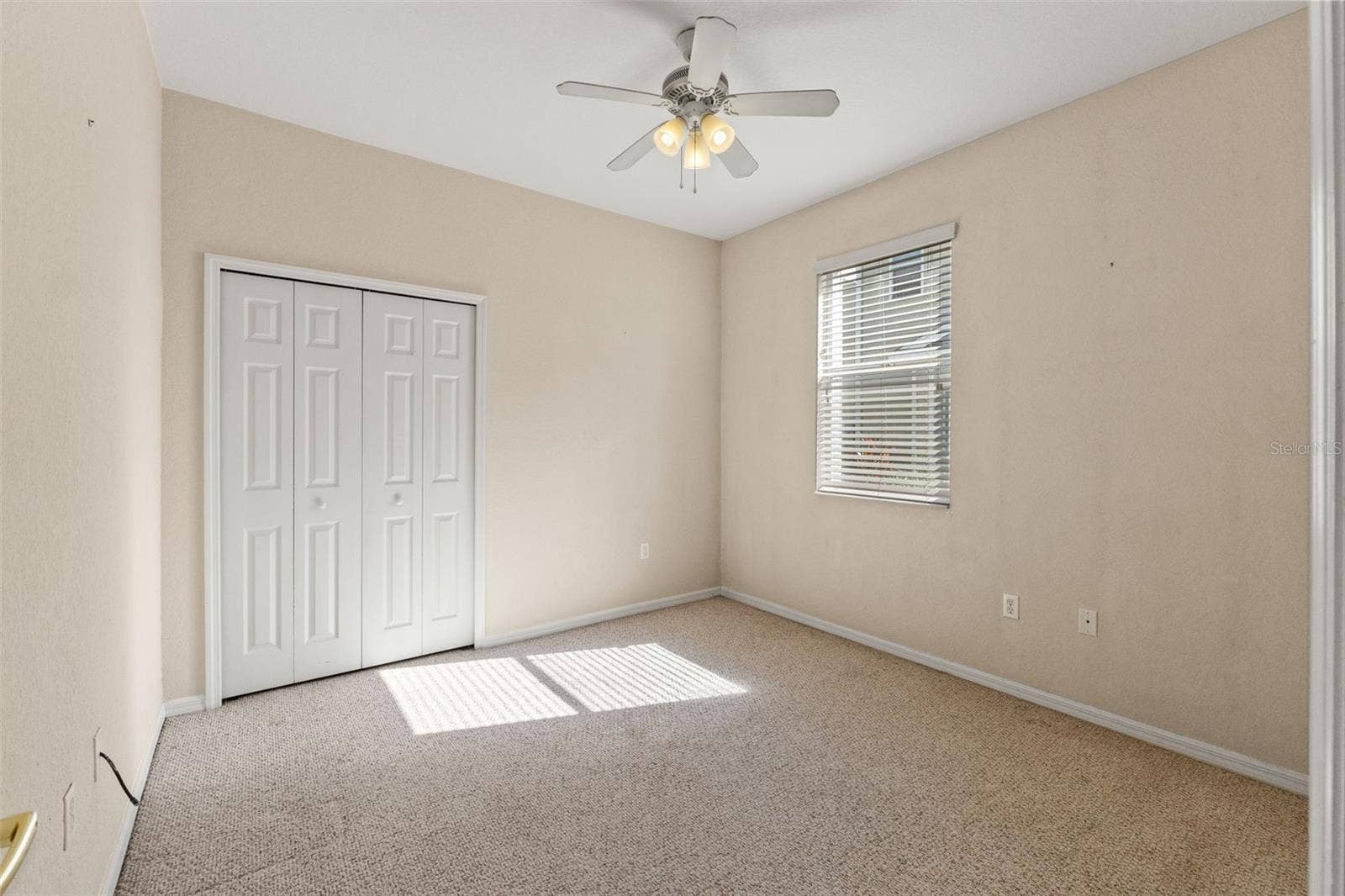 1920 HAMMOCKS AVENUE, #1002, Lutz, FL 33549