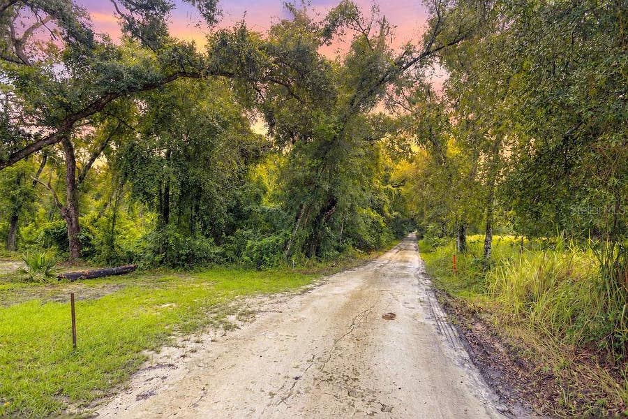 Property photo for 0 LUCILLES SHADY LANE, Nobleton, FL