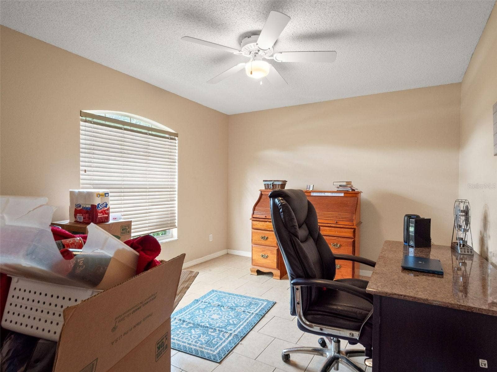 8014 CARDINAL WINDS LANE, Mascotte, FL 34753 8014 CARDINAL WINDS LANE, Mascotte, FL 34753