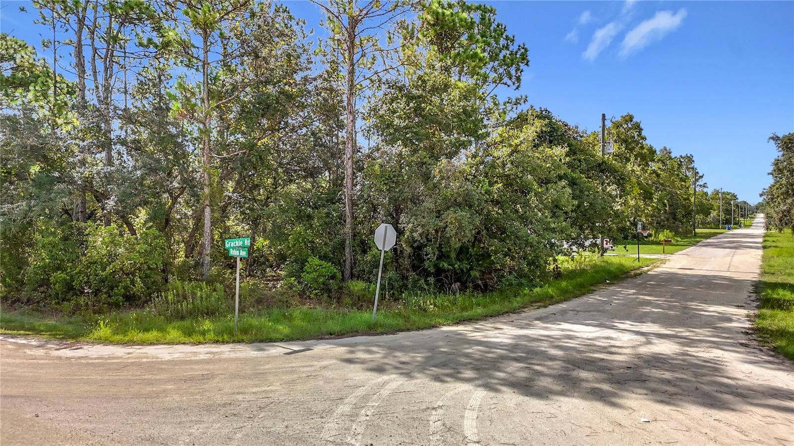13542 ROBIN AVENUE, Weeki Wachee, FL 34614 13542 ROBIN AVENUE, Weeki Wachee, FL 34614