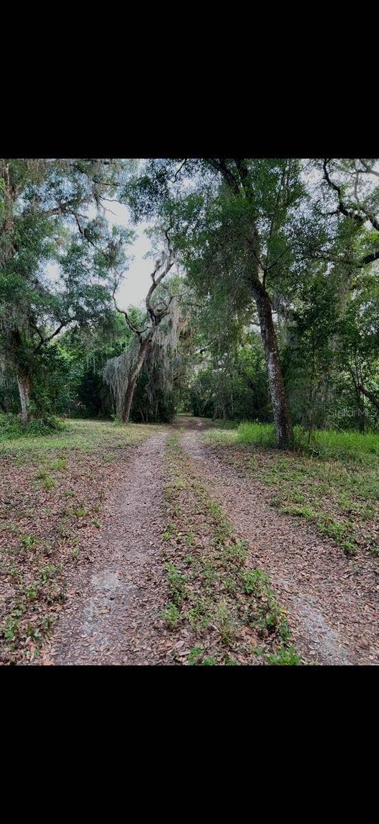 Property photo for 20231 PAINTER PLACE PLACE, Spring Hill, FL