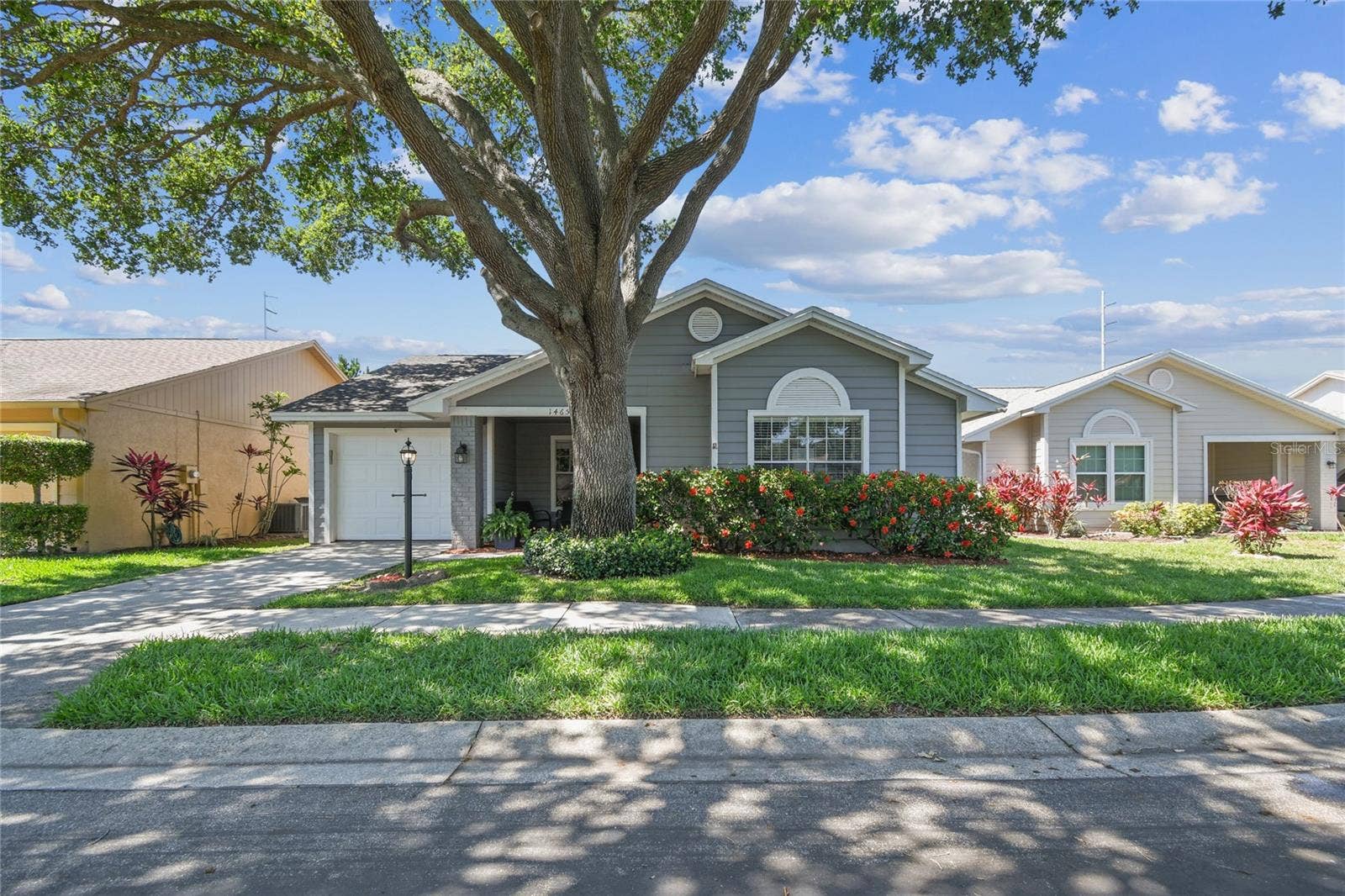 1465 CAIRN COURT, Palm Harbor, FL 34683 1465 CAIRN COURT, Palm Harbor, FL 34683