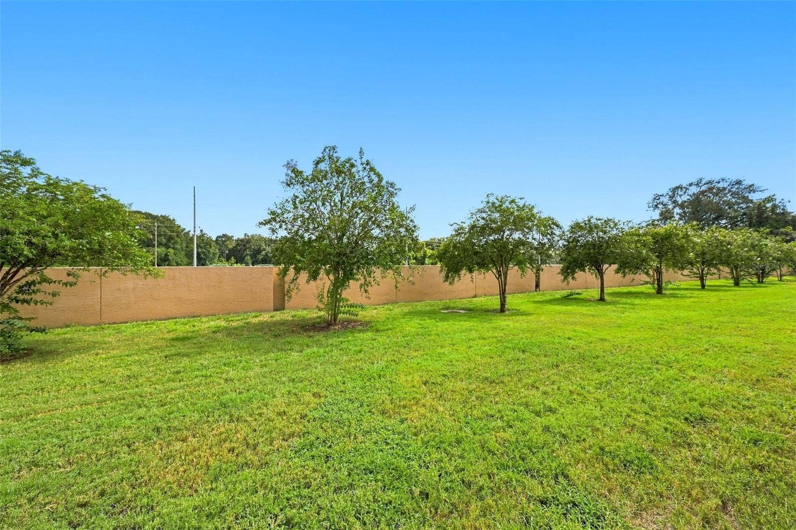 9755 TRUMPET VINE LOOP, New Port Richey, FL 34655 9755 TRUMPET VINE LOOP, New Port Richey, FL 34655