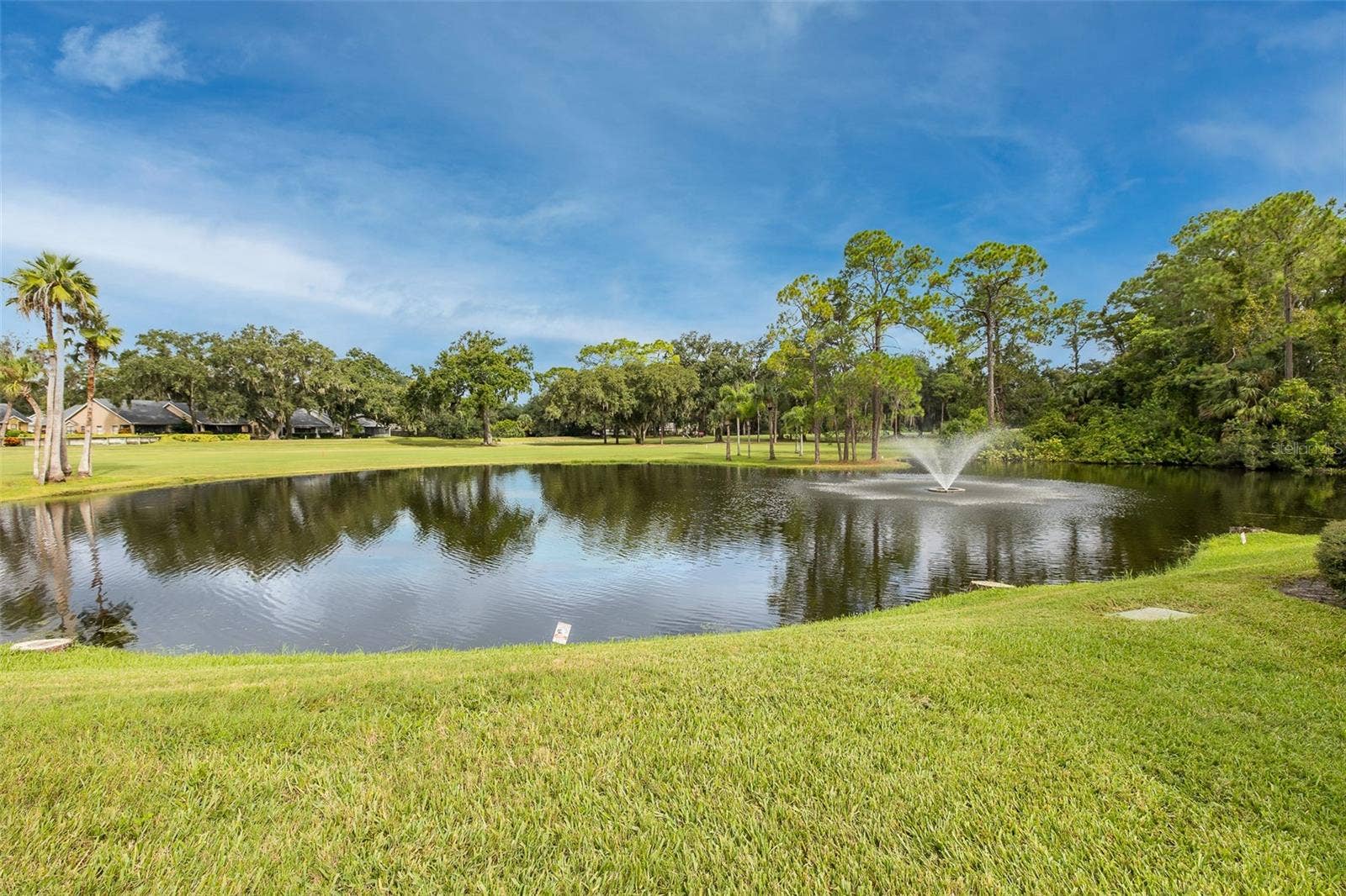3637 DOWNFIELD PLACE, New Port Richey, FL 34655 3637 DOWNFIELD PLACE, New Port Richey, FL 34655