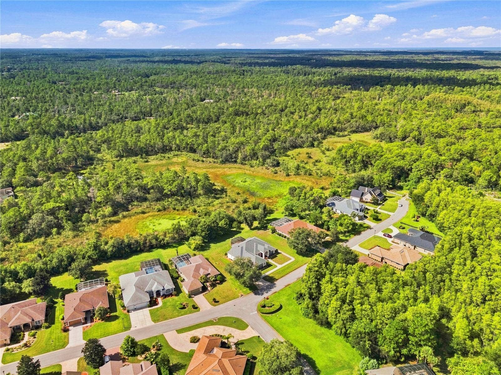 8698 MISSISSIPPI RUN, Weeki Wachee, FL 34613 8698 MISSISSIPPI RUN, Weeki Wachee, FL 34613