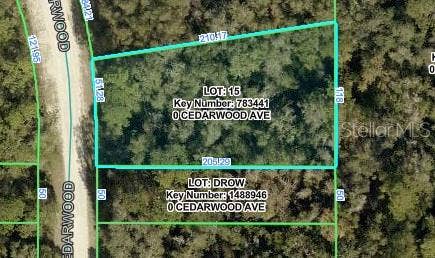 Property photo for CEDARWOOD AVENUE, Weeki Wachee, FL