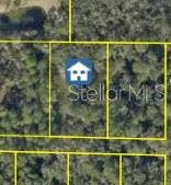 Property photo for PINON DRIVE, Webster, FL