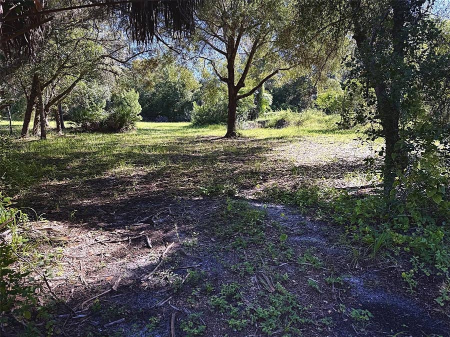 Property photo for 9630 ELLIS STREET, New Port Richey, FL
