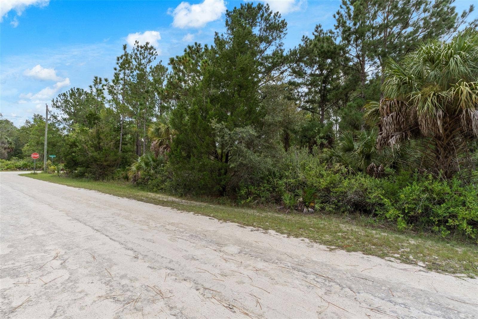 18399 RAMSEY ROAD, Weeki Wachee, FL 34614