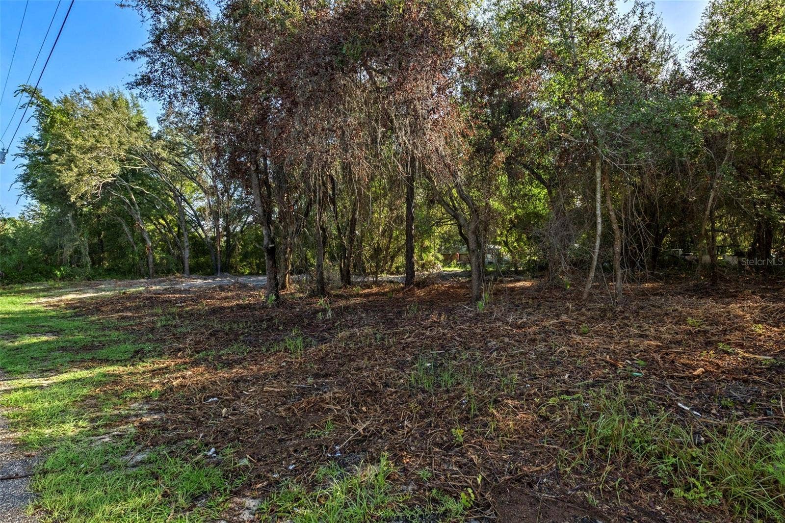 6669 W CARDINAL STREET, Homosassa, FL 34446 6669 W CARDINAL STREET, Homosassa, FL 34446