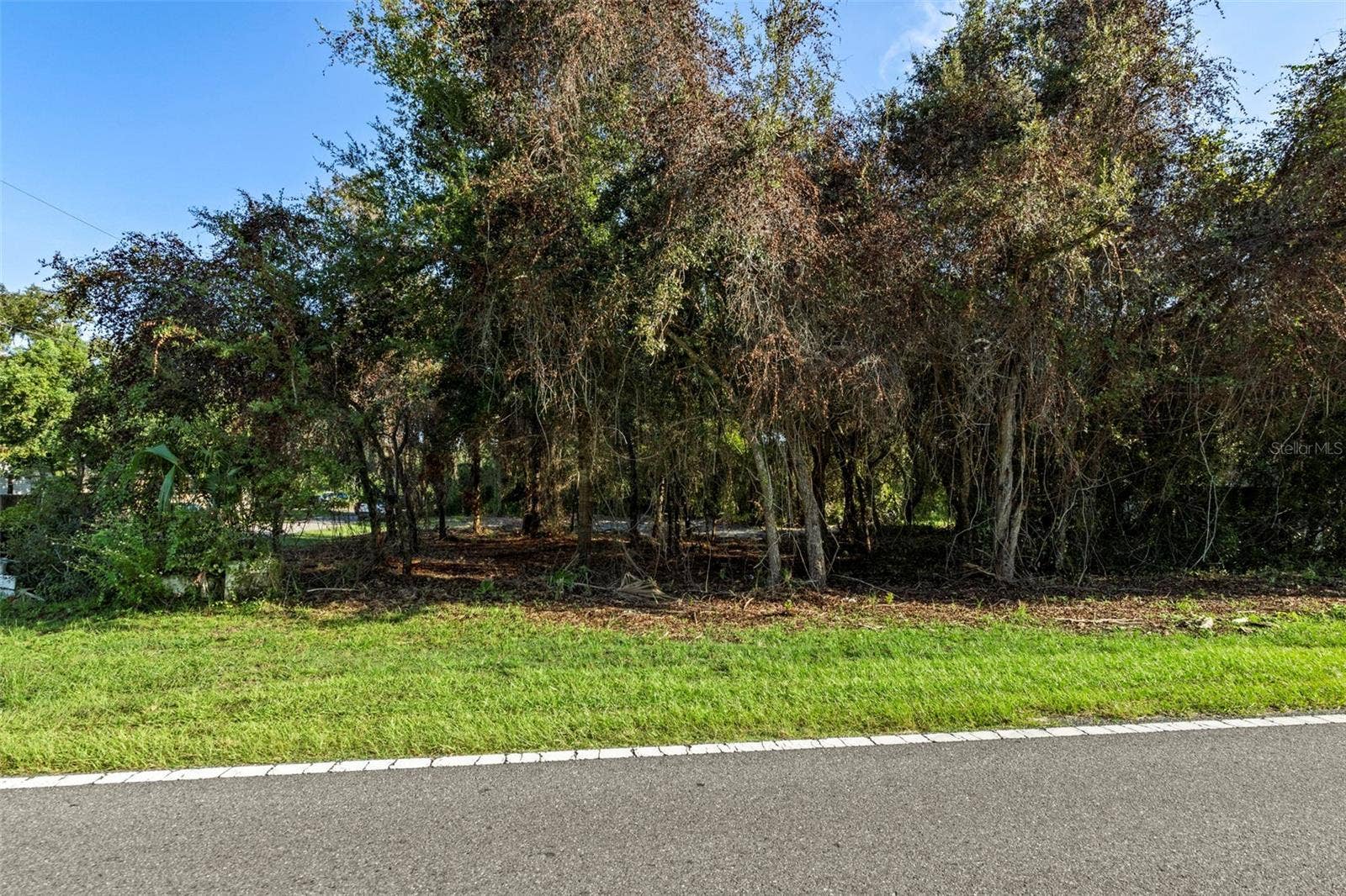 6669 W CARDINAL STREET, Homosassa, FL 34446 6669 W CARDINAL STREET, Homosassa, FL 34446