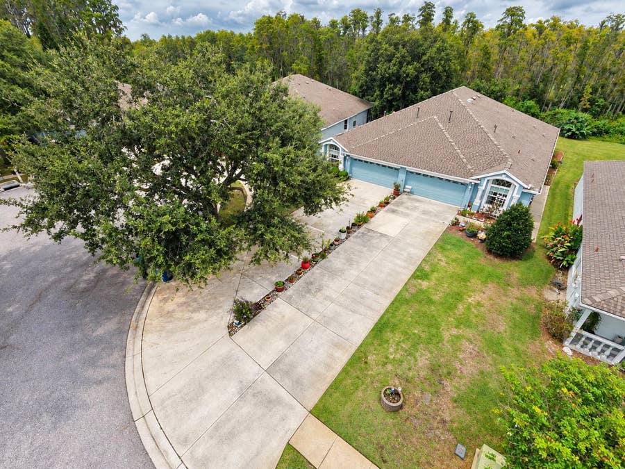 Property photo for 19339 EVERTON PLACE, Land O Lakes, FL