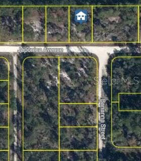 Property photo for 3021 JAPONICA AVENUE, Lake Placid, FL