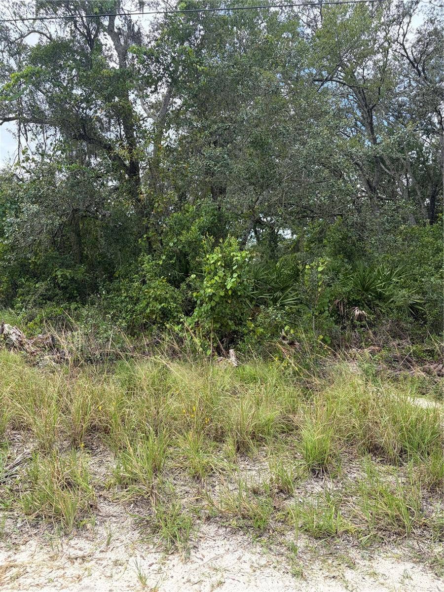 Property photo for 10333 GILMER, New Port Richey, FL