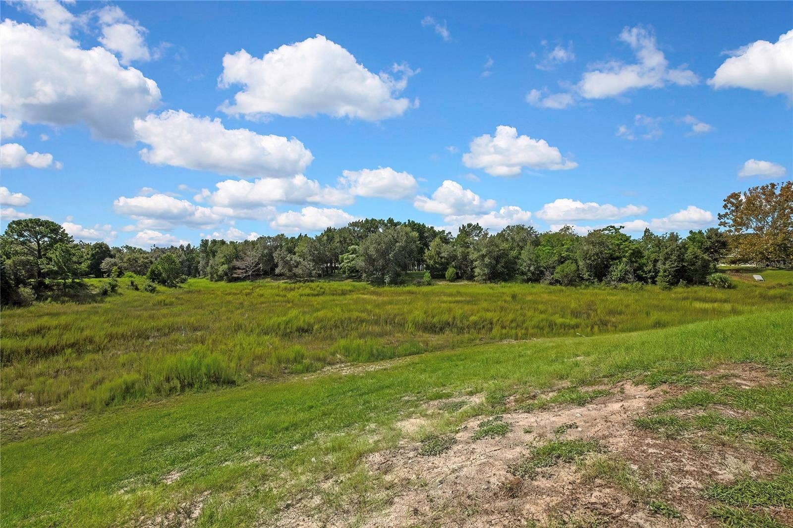 8098 SHORECREST COURT, Spring Hill, FL 34606 Backyard