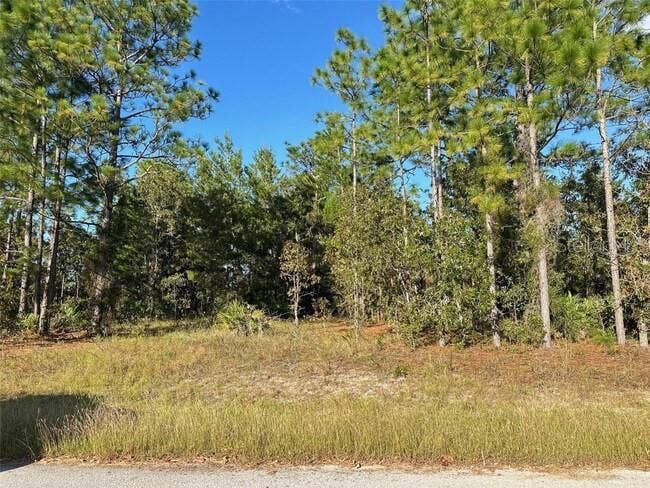 Property photo for 9 & 11 POPPY STREET, Homosassa, FL