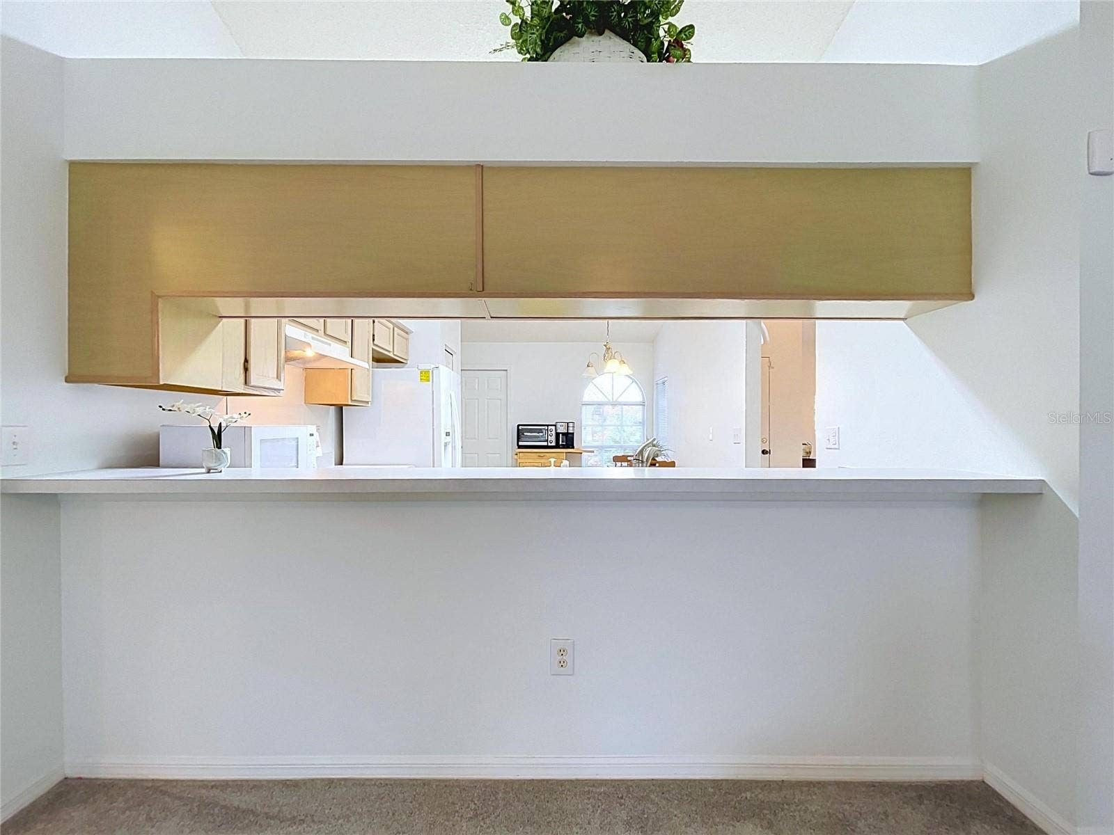 27408 CORAL SPRINGS DRIVE, Wesley Chapel, FL 33544 Excellent serving bar