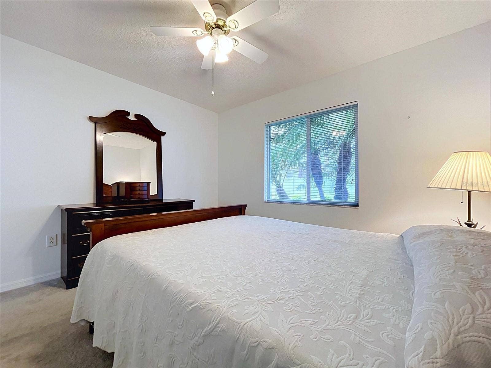 27408 CORAL SPRINGS DRIVE, Wesley Chapel, FL 33544 Nice light from window