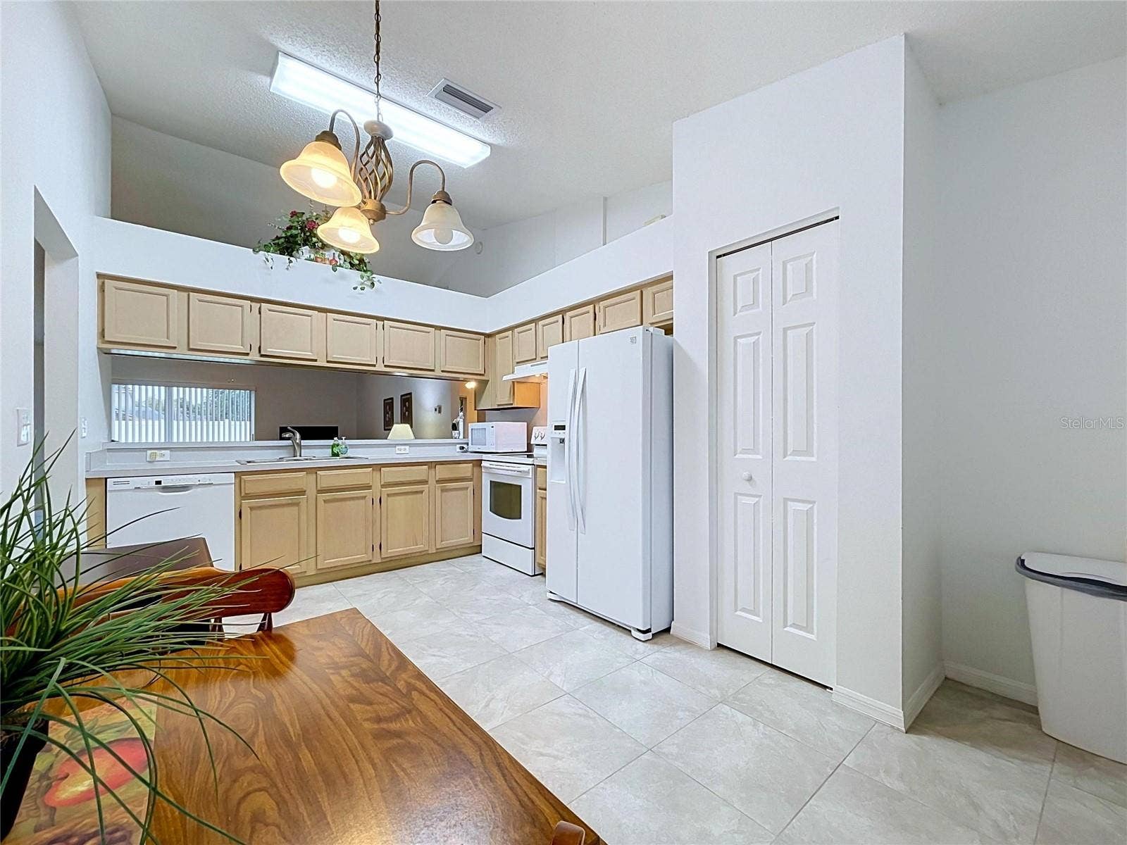 27408 CORAL SPRINGS DRIVE, Wesley Chapel, FL 33544 Good lighting with nice counter space