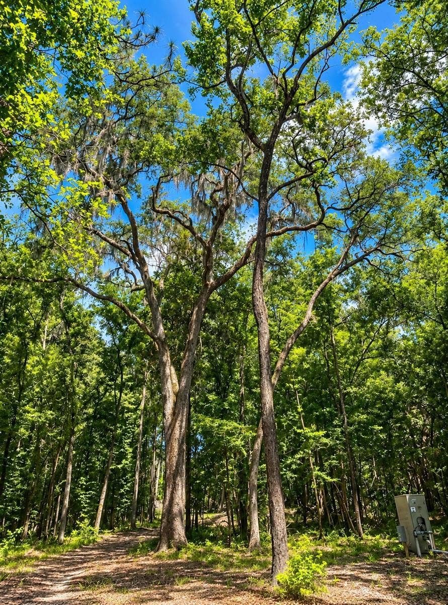 Property photo for SNOW MEMORIAL, Brooksville, FL
