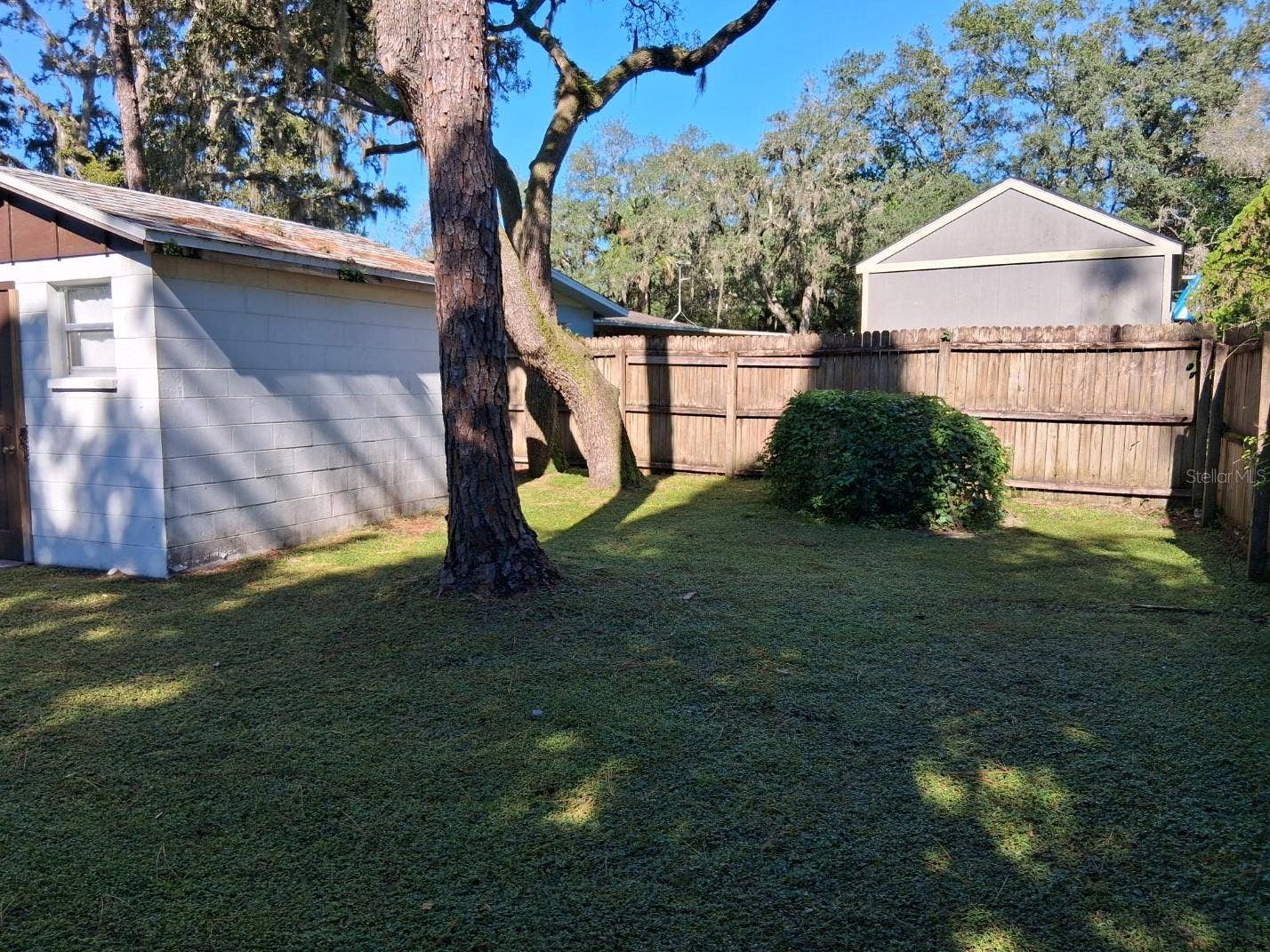 10052 LAKE DRIVE, New Port Richey, FL 34654 Shady rear yard